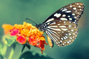 开云 官网 入口-利兹联再迎重要胜利，稳固保级底线，利兹联官推