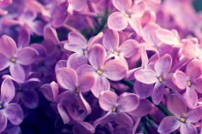 开云体育官方网入口-《青少年电竞策略：培养兴趣与防止沉迷兼得》，青少年电子游戏