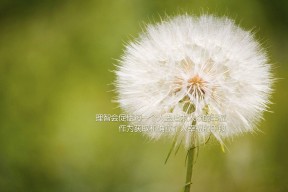 kaiyun官方入口登录-全球马拉松热潮：城市变成赛道，2021全球马拉松