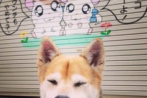 开云体育中国官网-“西甲明星闪耀全场，助力球队冲刺冠军”，西甲2021官方赞助