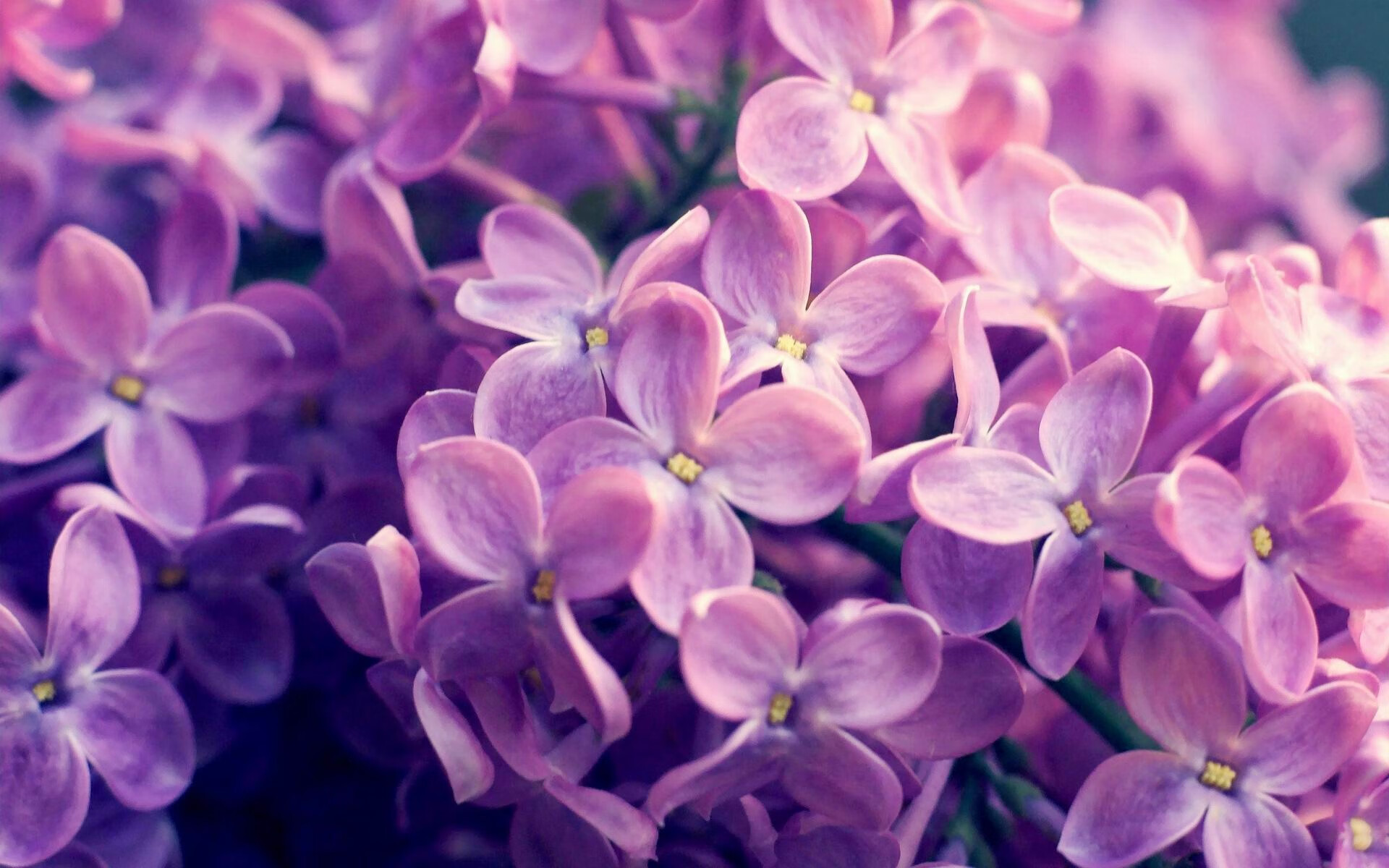 《青少年电竞策略:培养兴趣与防止沉迷兼得》,青少年电子游戏